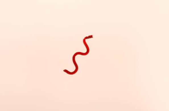 微信图片_20250509101329.png