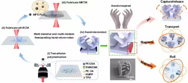 1761877068920347.jpg 微信图片_2025-10-31_101639_698.jpg